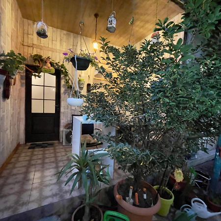 Mr Guest House ティビリシ エクステリア 写真