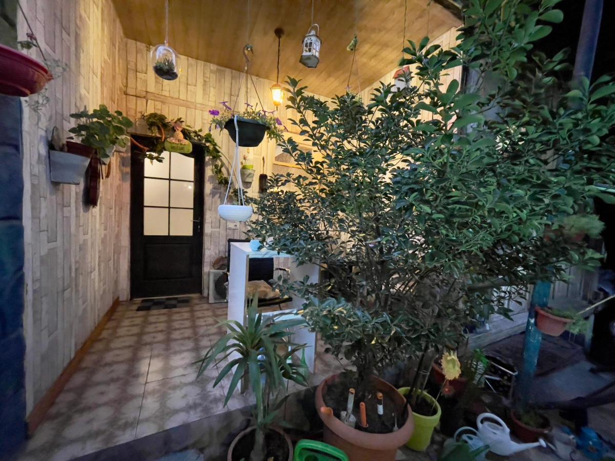 Mr Guest House ティビリシ エクステリア 写真